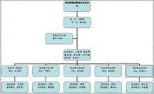黨總支組織結構