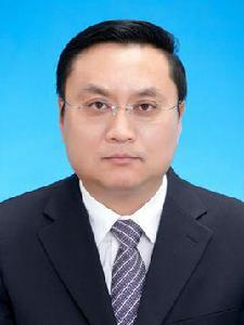 陳勇[重慶市城管委副主任、黨組副書記]