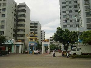 金山小區 金山小區