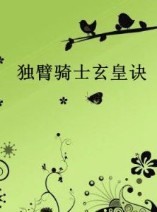 獨臂騎士 獨臂騎士