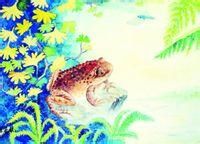 孟氏大連蟾 孟氏大連蟾