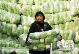 菜價高企促使中國“菜籃子工程”再發力_財經頻道_新華網