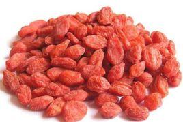 寧夏枸杞王 寧夏枸杞王