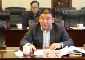 張昊[江蘇宿遷市委常委、開發區黨工委書記]