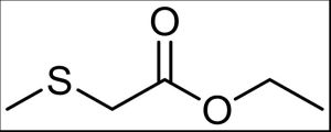 甲硫乙酸 甲硫乙酸