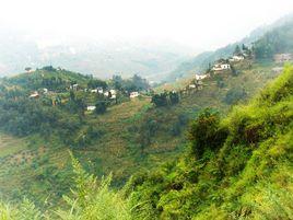 陸頂自然村 陸頂自然村