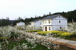 漢陽鎮農村風光