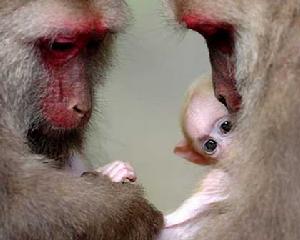 上舉龍文自然保護區 上舉龍文自然保護區