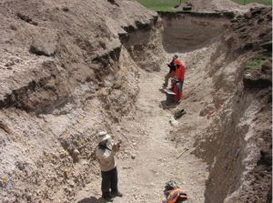 古地震組合探槽 古地震組合探槽