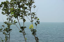 橋頭堡城市風貌