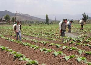 施朵二組村 施朵二組村