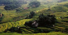 靈官鎮[湖南省安仁縣靈官鎮]