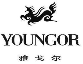 雅戈爾集團股份有限公司 雅戈爾集團股份有限公司