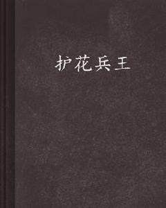 護花兵王[軍用刺刀作品，看書網]