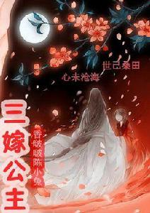 三嫁公主 三嫁公主