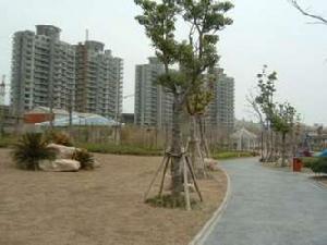 金沙麗晶苑一期 金沙麗晶苑一期