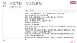 公主為奴，冷王的愛姬