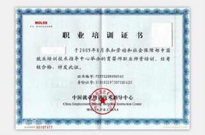 育嬰師職業資格考試 育嬰師職業資格考試