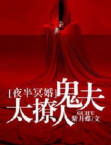 夜半冥婚:鬼夫太撩人 夜半冥婚:鬼夫太撩人