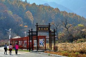 新興滿族鄉 新興滿族鄉