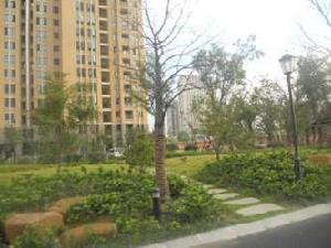 金沙陽光 金沙陽光