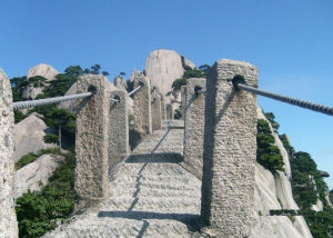 仙人鋪路 仙人鋪路