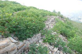 艾陵之戰 艾陵之戰