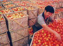 城步苗族自治縣移民開發局