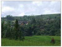 麻竹坪自然村 麻竹坪自然村