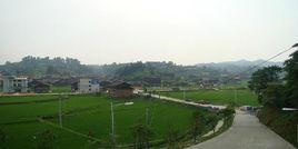 偶里千戶苗寨 偶里千戶苗寨