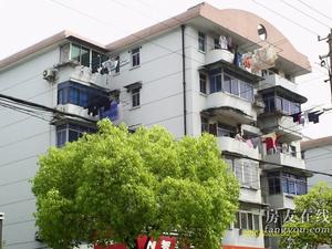 聯建新村寶山 聯建新村寶山