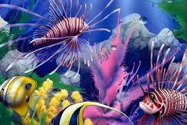 魚世界找字母 魚世界找字母