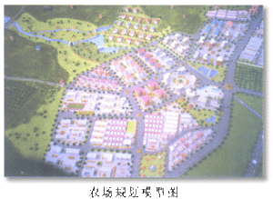 福建雪峰華僑農場