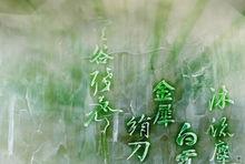 武痴留掌（顏色反相）