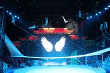 空中飛人的劇照