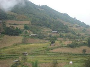 汪奪地自然村 汪奪地自然村