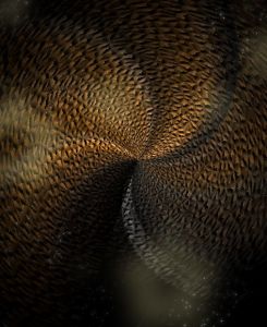 神奇黃金 神奇黃金