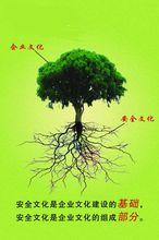 企業安全文化與企業的關係