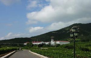 青島華東百利酒莊 青島華東百利酒莊