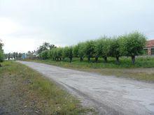 黑龍江省克山縣古城鎮公路