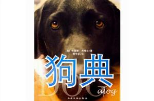 狗典 狗典