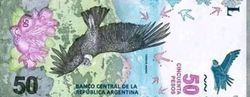 50阿根廷比索