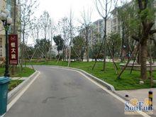 武漢恆大城外景圖