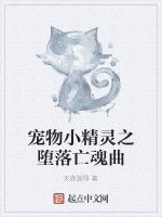 寵物小精靈之墮落亡魂曲