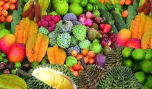 村人易物熱帶水果