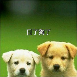 我真是日了狗了 我真是日了狗了