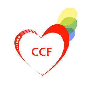 易瑞沙援助項目 易瑞沙援助項目