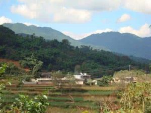 武家寨自然村 武家寨自然村