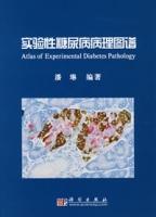實驗性糖尿病病理圖譜 實驗性糖尿病病理圖譜