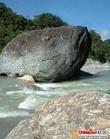 魚石[石頭]